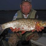 Fishing for rotan in the fall: what is better to fish for a mega catch?