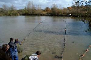Fishing for silver carp with nets