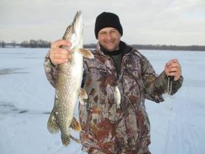 Catching pike in winter on girders | Which live bait is better 