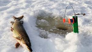 Pike fishing in winter