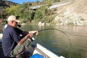 Catching catfish using a spinning rod