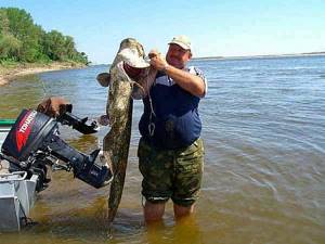 Catching catfish by trolling