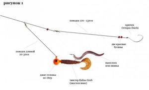 Catching pike perch with a jig, how does it happen? Lures, equipment and features 