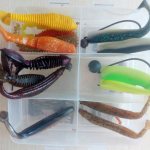 Fishing in winter with silicone baits