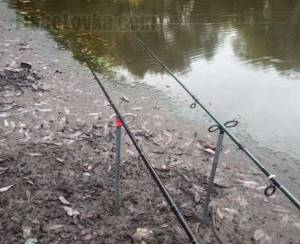 Fishing can be done on two feeders at once.