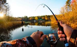 The best weather for fishing - revealing the secrets of the bite