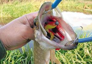best colors of silicone lures for pike