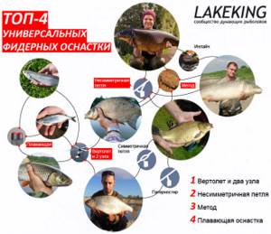The best feeder equipment - analytics from Lakeking.ru