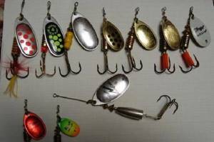 The best spinners for pike