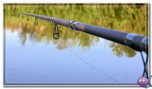 match fishing rod