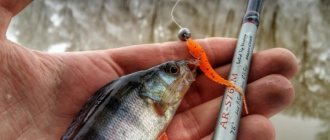 Microjig for beginners: theory, practice and video advice from experts