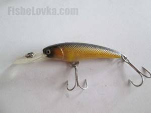 Minnow with depth will find perch in the lower layers of water.