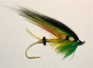 Flies for fish