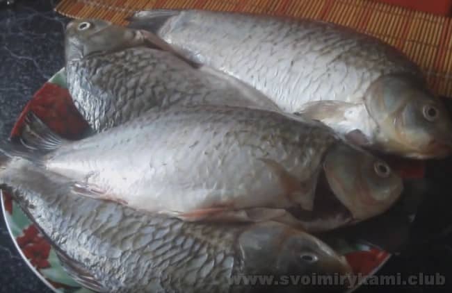 we will tell you how to quickly make delicious cutlets from crucian carp.