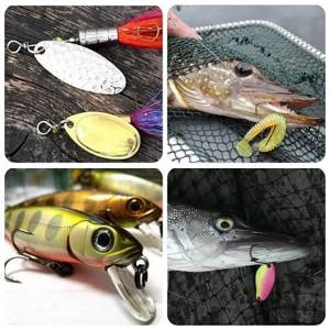 what to use to catch pike
