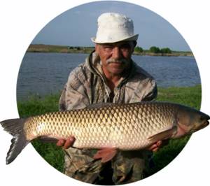 What is the best way to catch grass carp?