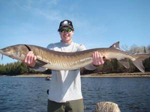 what you can use and how to catch sturgeon on a paysite