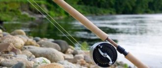 Fly Fishing - A Beginner&#39;s Guide