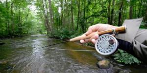 Fly rods photo 4