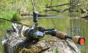 Purpose of the spinning rod