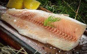 Нельма рыба. Рецепты приготовления в духовке, мультиварке, жареная