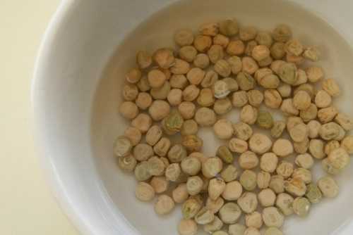 Chickpeas for fishing - steaming methods