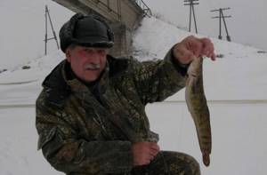 The nuances of catching burbot in winter