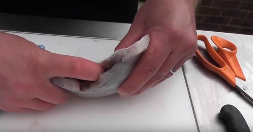 Cleaning flounder from internal organs