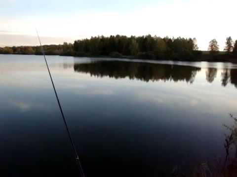 Autumn fishing in the Moscow region