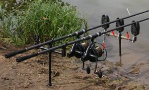 Equipment for catching silver carp