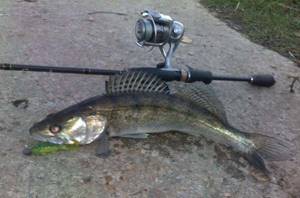 spinning rod equipment for catching pike perch