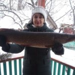 The main points of catching pike on the first ice: where, when and what to use