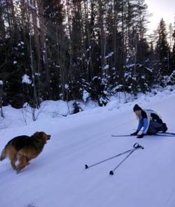 Holidays in Karelia in winter
