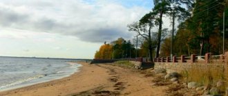 holiday in the Leningrad region on the Gulf of Finland
