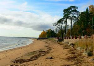 holiday in the Leningrad region on the Gulf of Finland