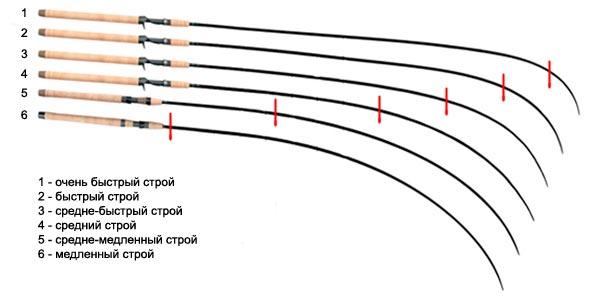 Differences between rods by structure