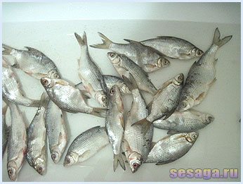 Soak the fish from excess salt