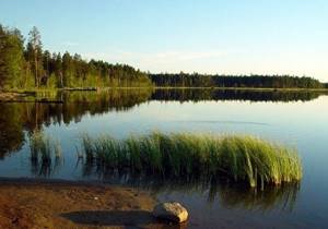 Lakes in the Chelyabinsk region for fishing