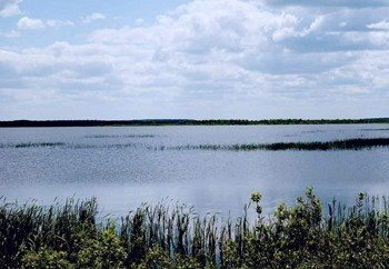 Lake Kozhanovskoe photo
