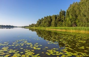 Lake Mstinskoe photo