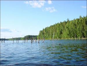 Озеро Псковское