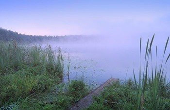 Озеро Щучье фото