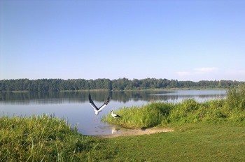 Lake Zalomenye photo
