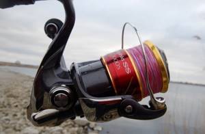 A reminder to the fisherman on how to use a spinning reel