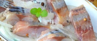 Peled fish. Photos, description, how to cook, salt, recipes 