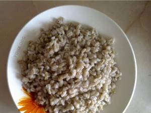 Pearl barley, vegetable attachment