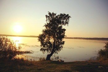 Petrovskoye Lake photo