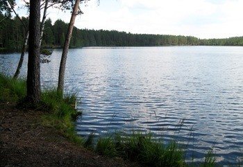 Пионерское озеро фото