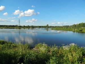 Paid fishing in the Dmitrovsky district of the Moscow region, free ...