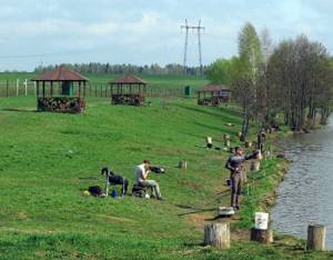 платный пруд n-fisher в Новоселках